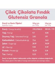 2 Paket Çikolata Çilek Fındık Glutensiz İlave Şekersiz Vegan Granola 100gr